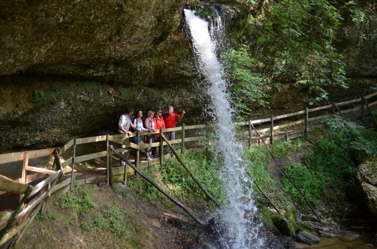 Hotel Alpenrose Gut Schlafen & Fruehstuecken Scheidegg Ngoại thất bức ảnh